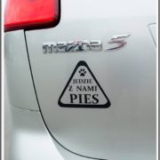 jedzie pies