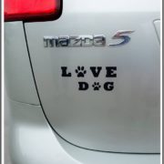 dog