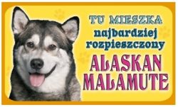 ALASKAN MALAMUTE