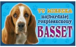 BASSET