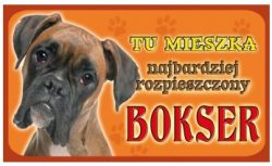 BOKSER