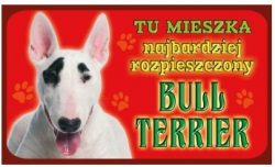 BULL TERRIER