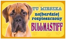 BULLMASTIFF