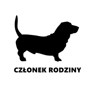 Basset-600x600
