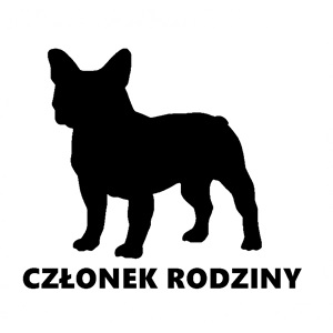 Buldog-francuski-600x600