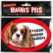 Cavalier