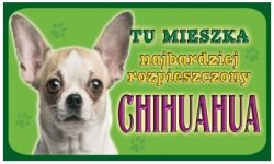 CHIHUAHUA