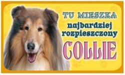 COLLIE