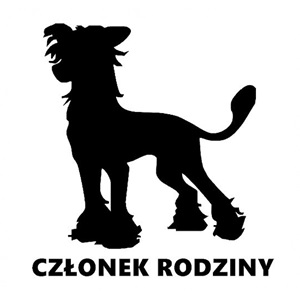 Chiński-grzywacz-600x600