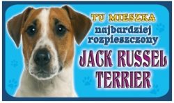 JACK RUSSEL TERRIER