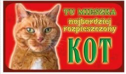 KOT
