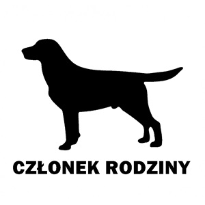 Labrador-600x600