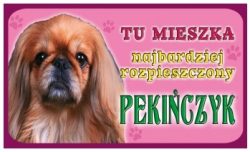 PEKIŃCZYK