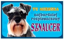 SZNAUCER