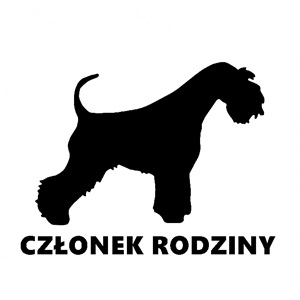 Sznaucer-600x508