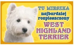 WEST HIGHLAND TERRIER