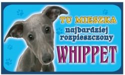 WHIPPET