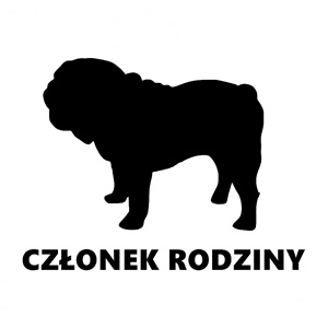 buldog angielski