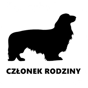 jamnik długowłosy