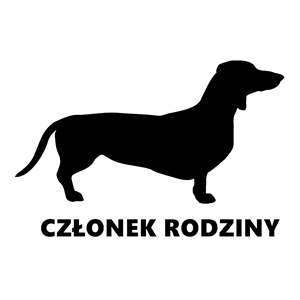 jamnik-krótkowłosy-600x600