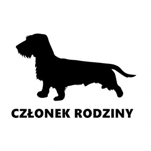 jamnik-szorstkowłosy-600x537