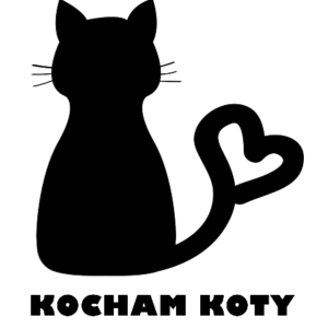 kocham-koty-2