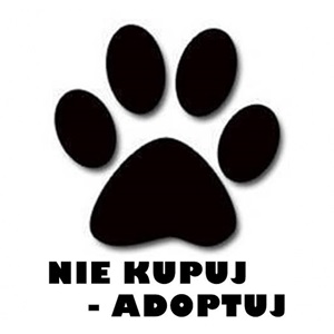 nie kupuj adoptuj
