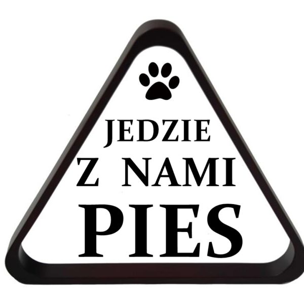 pies jedzie