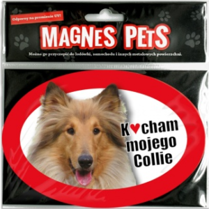 Collie