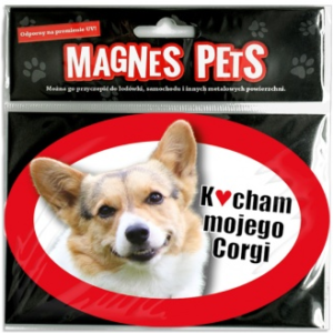 Corgi