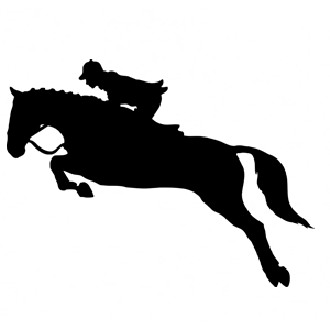 dressage-1299862_960_720