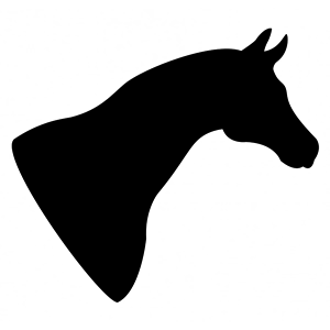 horse-1143529_960_720