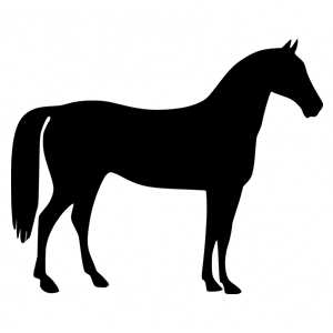 horse-156496_960_720