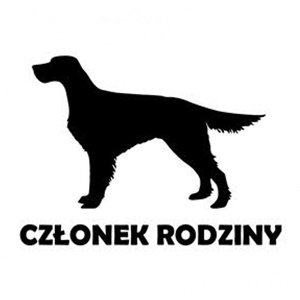 seter irlandzki