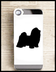 shih tzu 2