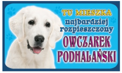 owczarek podhalański