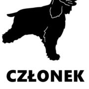 ANGIELSKI COCKER SPANIEL