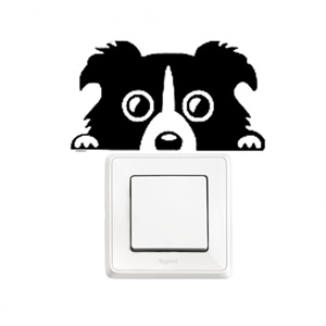 border collie na stronę
