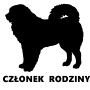 mastif tybetański2