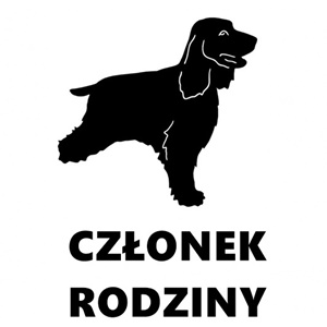 spaniel na stronę