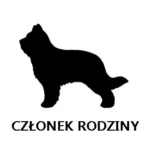 briard-na-strone