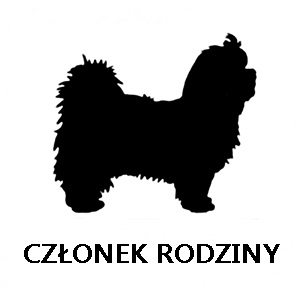 maltanczyk-na-strone
