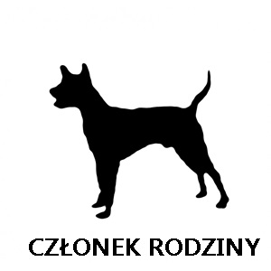 thai-ridgeback-na-strone