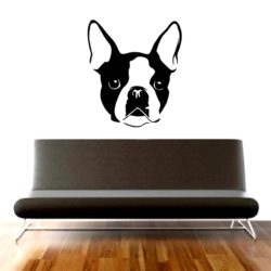 buldog francuski