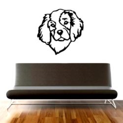 cavalier