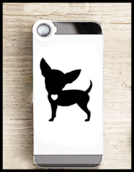chichuahua2