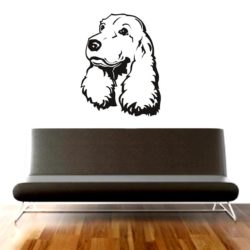 cocker spaniel