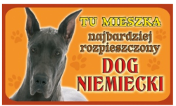 dog niemiecki
