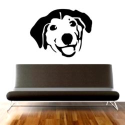 labrador