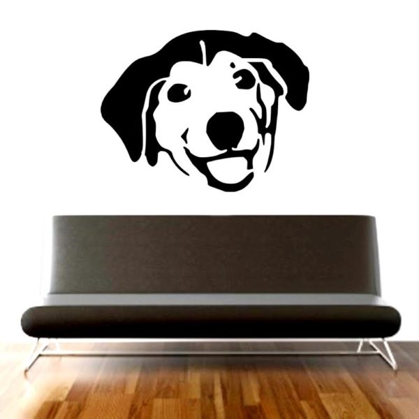 labrador